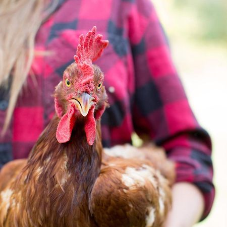 Woodstock Sustainable Farms Villa Luaran gambar