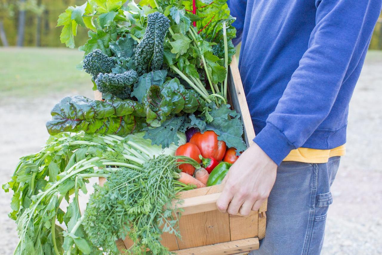 Woodstock Sustainable Farms Villa Bilik gambar